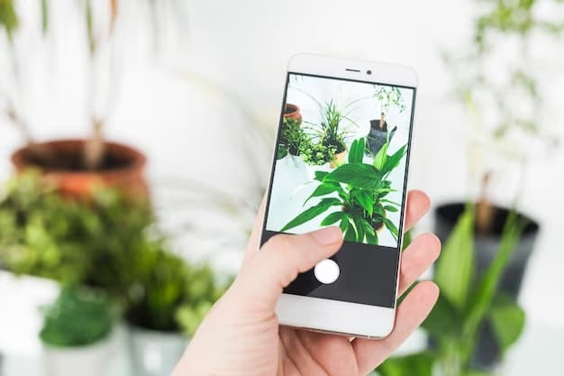 Aprenda como cuidar de plantas com o Bing, uma IA grátis 4 Como cuidar de plantas