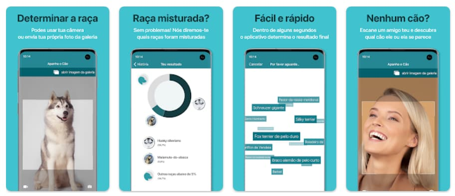 Dog Scanner: aplicativo para descobrir a raça de cachorro com foto 3 Raça de cachorro com foto