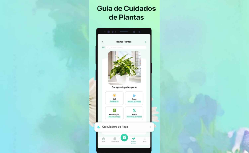 Como detectar problemas em suculentas usando o celular 4 Problemas em suculentas