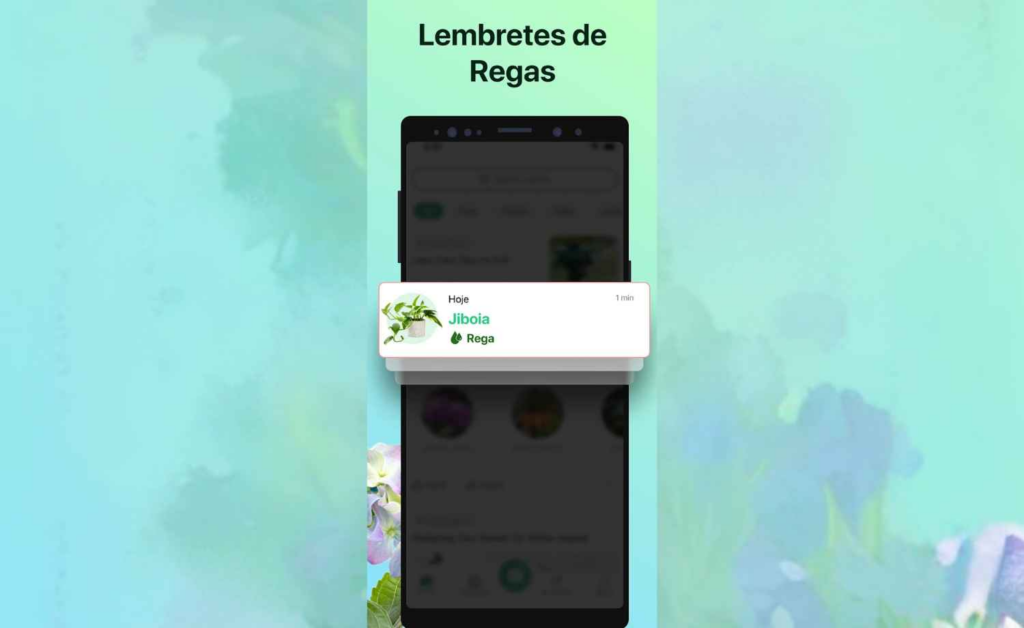 Como detectar problemas em suculentas usando o celular 6 Problemas em suculentas