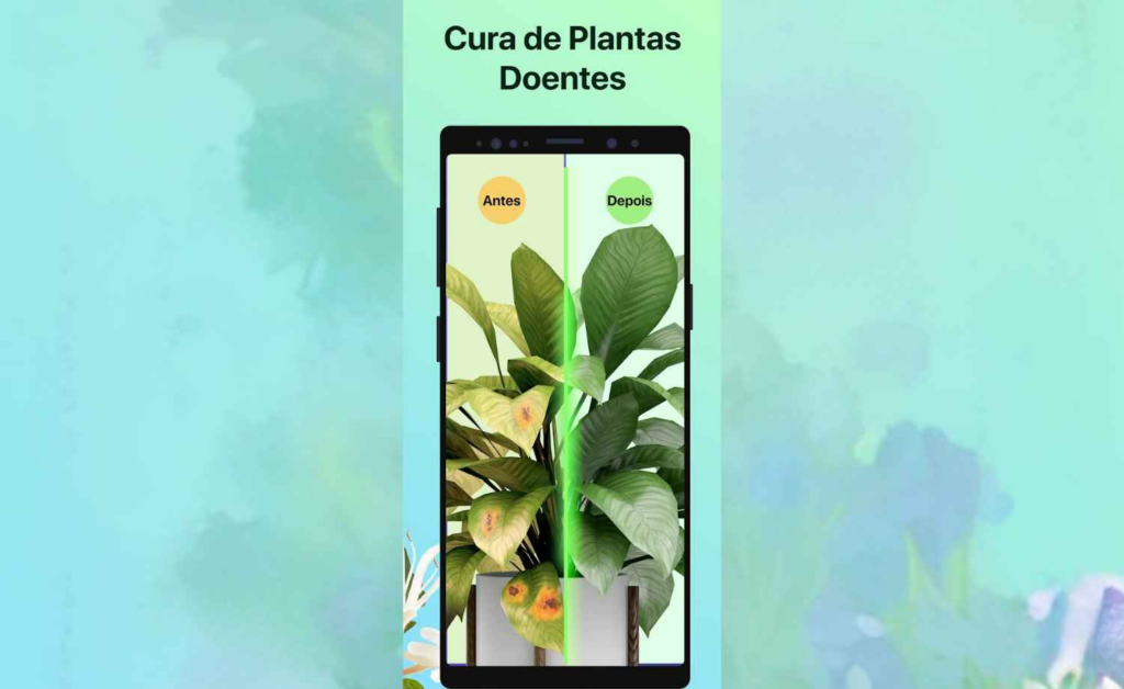 Como detectar problemas em suculentas usando o celular 8 Problemas em suculentas