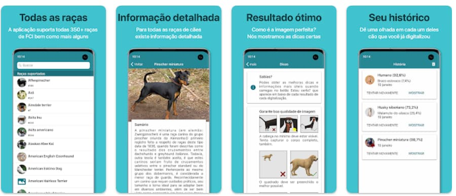 Dog Scanner: aplicativo para descobrir a raça de cachorro com foto 5 Raça de cachorro com foto