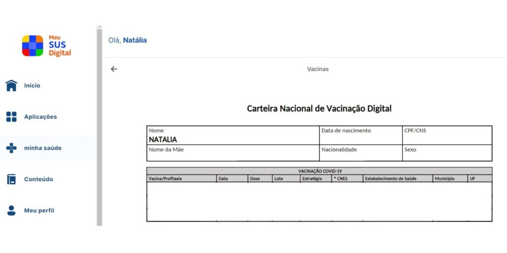 Dia Nacional da Vacinação: aprenda como consultar sua carteira de vacina digital 7 Dia Nacional da Vacinação
