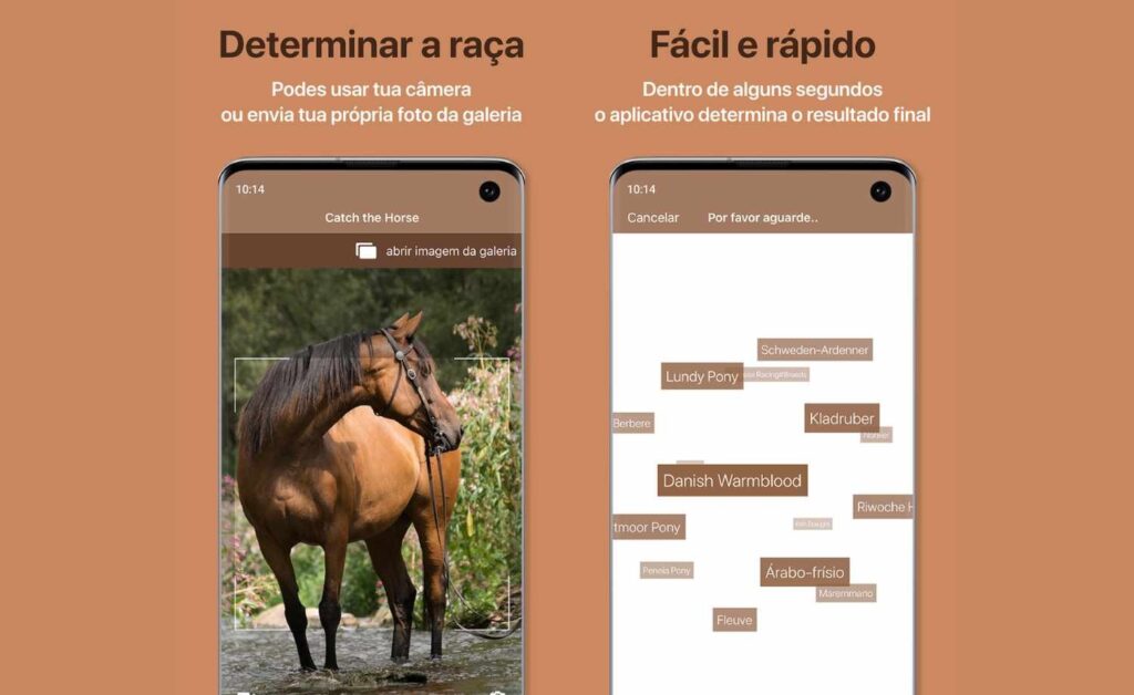 Horse Scanner: descubra a raça do cavalo com apenas uma foto 2 Raça do cavalo