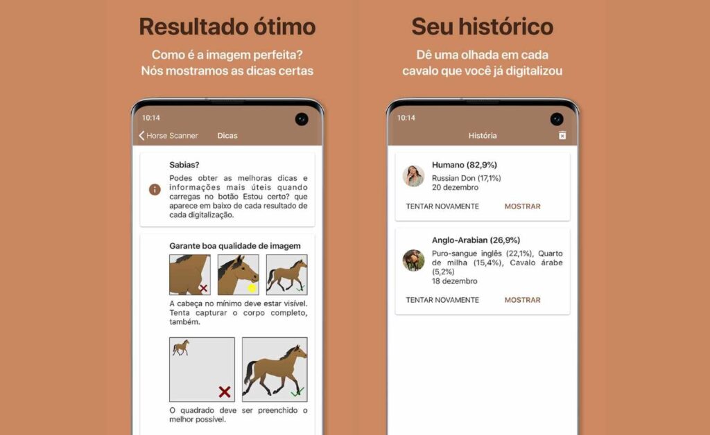 Horse Scanner: descubra a raça do cavalo com apenas uma foto 5 Raça do cavalo