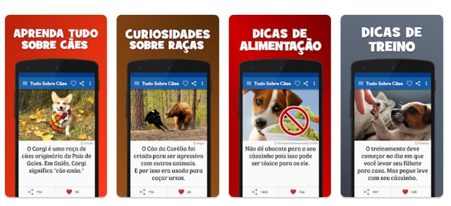 App sobre curiosidades sobre cachorros e dicas para cuidar do seu pet 3 Curiosidades sobre cachorros