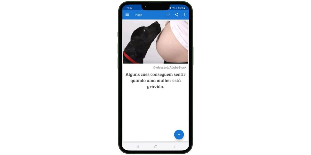 App sobre curiosidades sobre cachorros e dicas para cuidar do seu pet 4 Curiosidades sobre cachorros