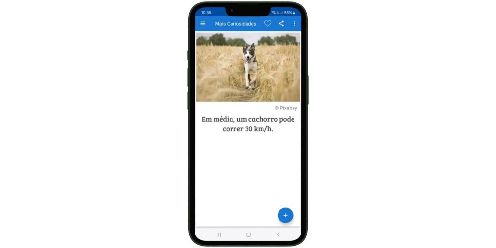 App sobre curiosidades sobre cachorros e dicas para cuidar do seu pet 6 Curiosidades sobre cachorros