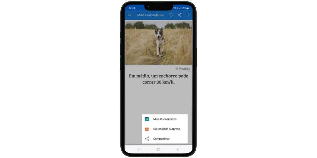App sobre curiosidades sobre cachorros e dicas para cuidar do seu pet 7 Curiosidades sobre cachorros