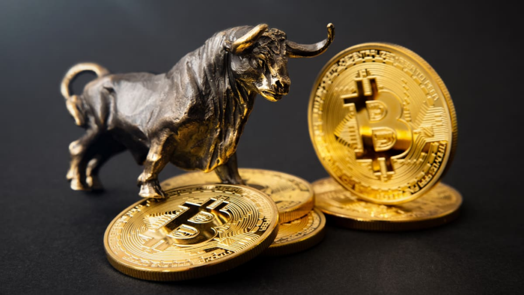 Bitcoin Volatility in 2025