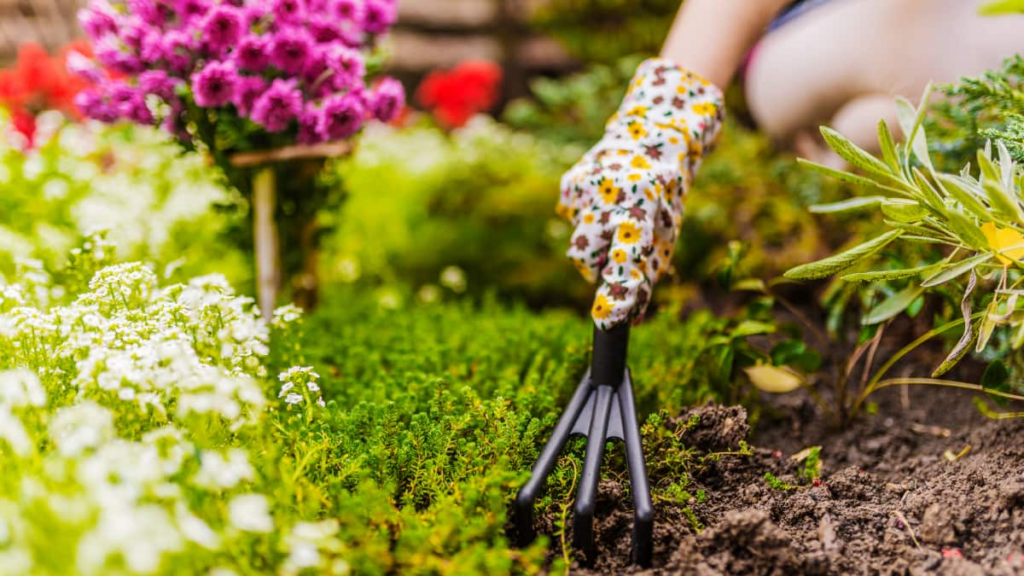 Gartenbau-Apps