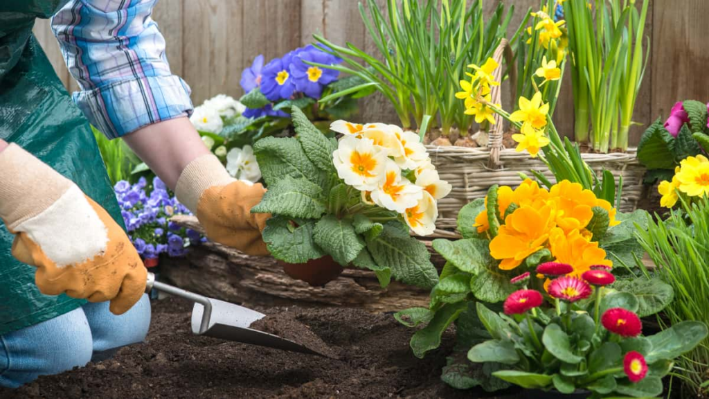 Gartenbau-Apps