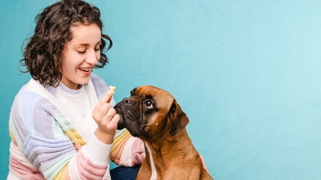 Pet Care Apps 
