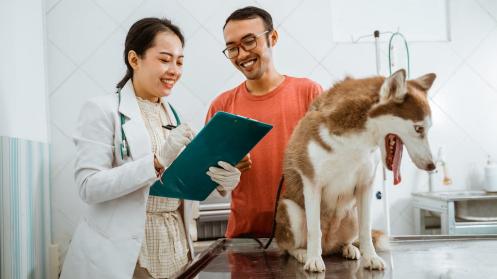 Pet Care Apps 