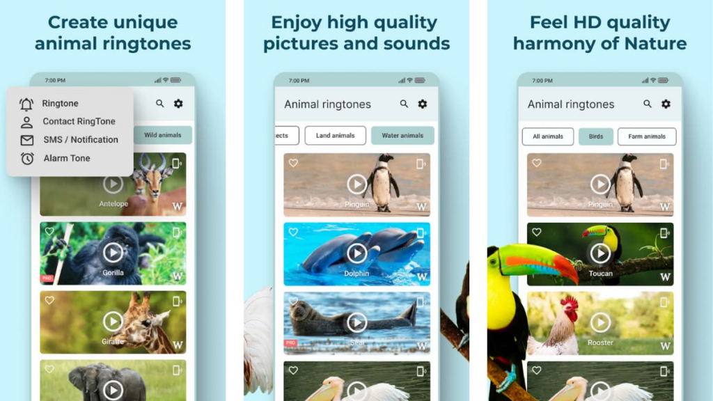 Animal ringtone app