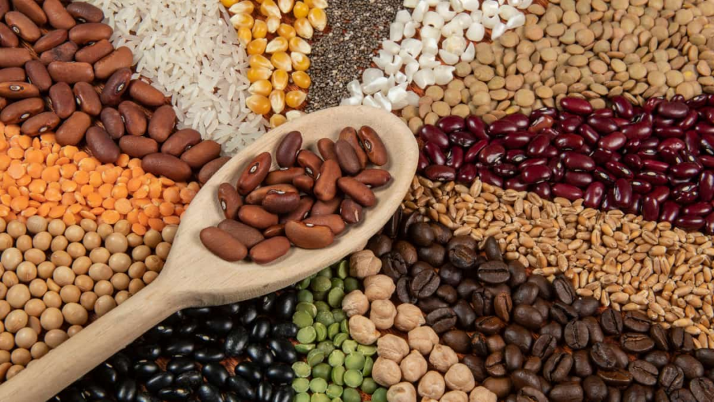 Top Vegan Apps
