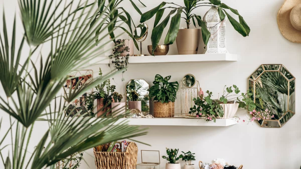 Home Decor Tech