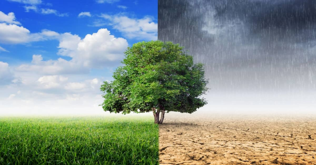  Reduce Your Carbon Footprint in 2025