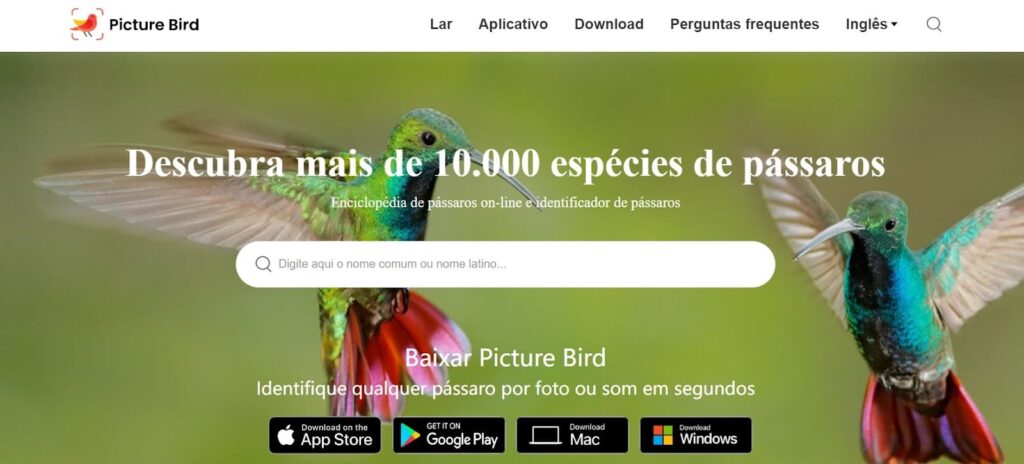 Identificar pássaros pelo som