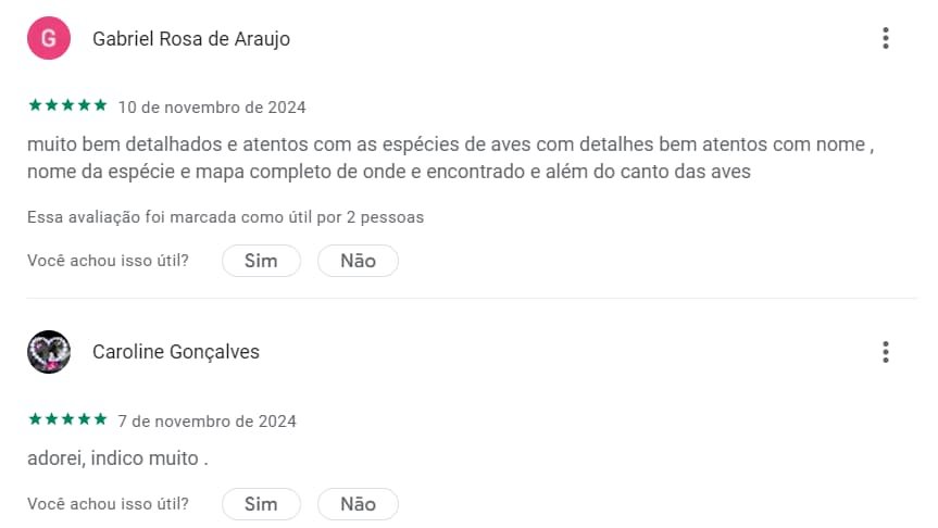 Identificar pássaros pelo som