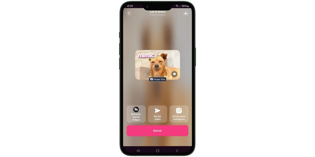 Aplicativo para fazer seu pet cantar e dançar no celular 9 Fazer seu pet cantar