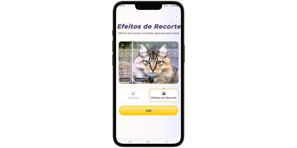 WhatsApp com tema de gato