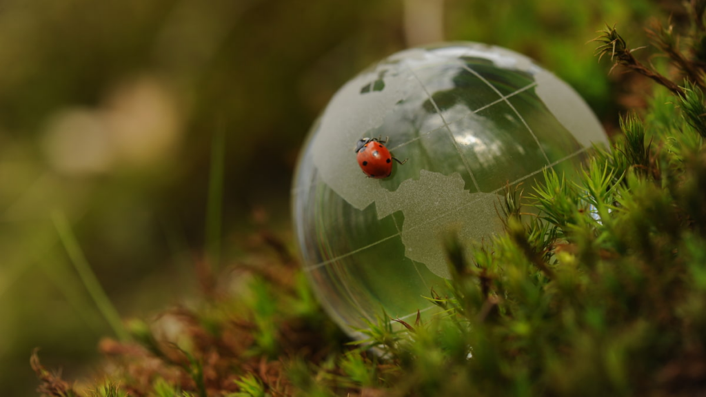 AI-Powered Wildlife Conservation