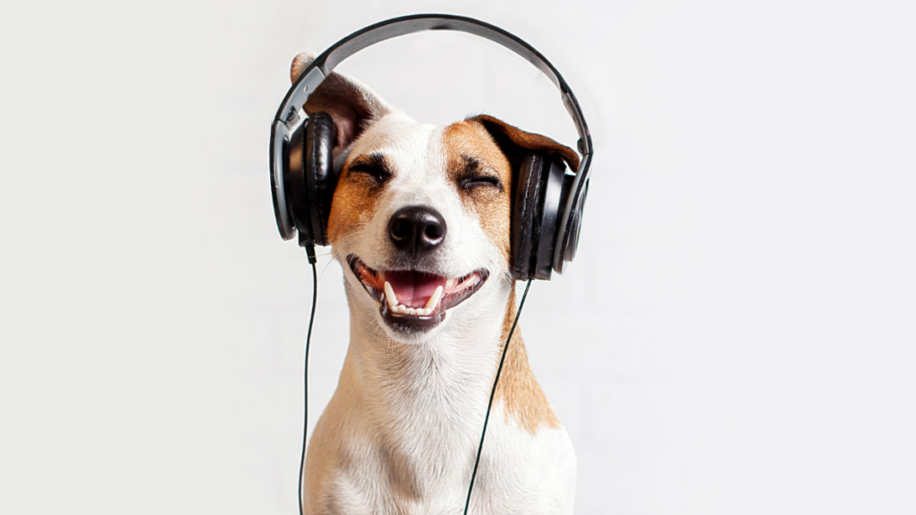 Music Discovery Apps