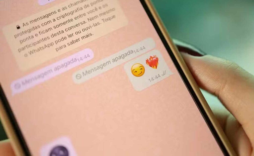 Como ler mensagem apagada no WhatsApp