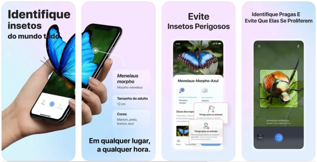 Aplicativo para identificar insetos rápido pelo celular 2 Aplicativo para identificar insetos