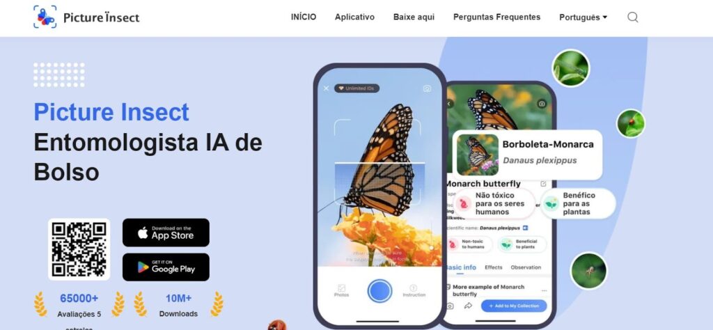 Aplicativo para identificar insetos rápido pelo celular 4 Aplicativo para identificar insetos