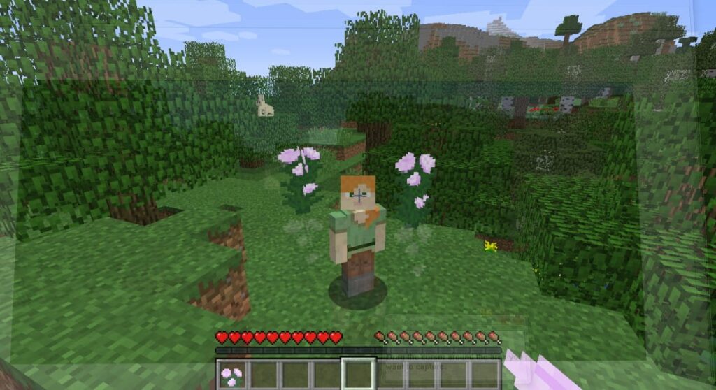 Jogo do Minecraft