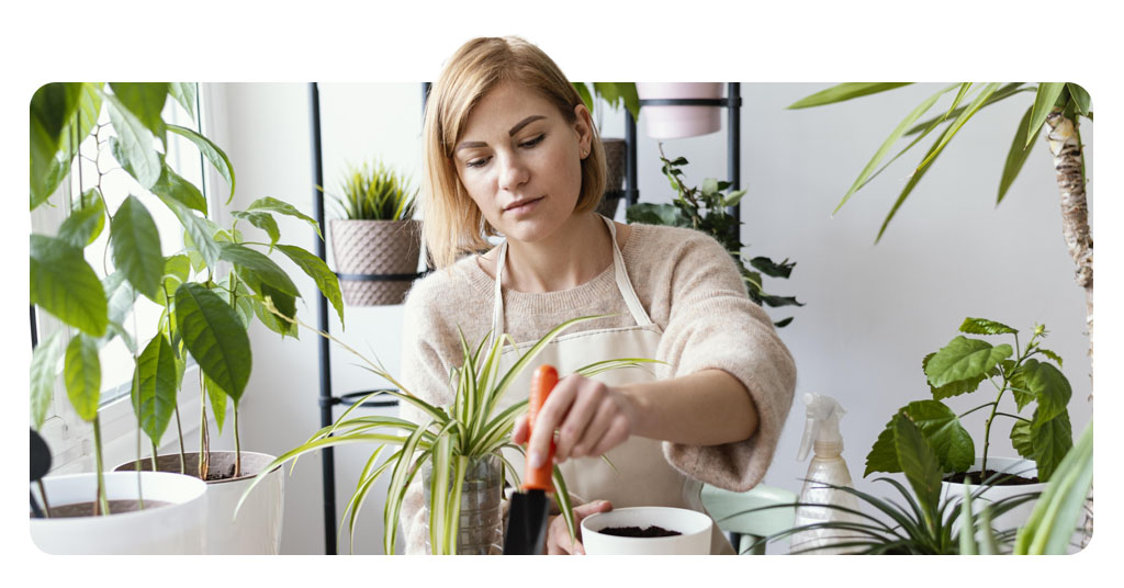 Corpo5 Apps para jardineiros iniciantes cuide melhor das suas plantas