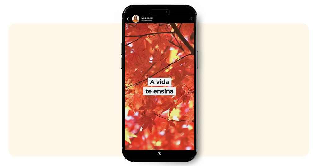 Vídeos para status do WhatsApp: edite e compartilhe fácil 4 Vídeos para status do WhatsApp