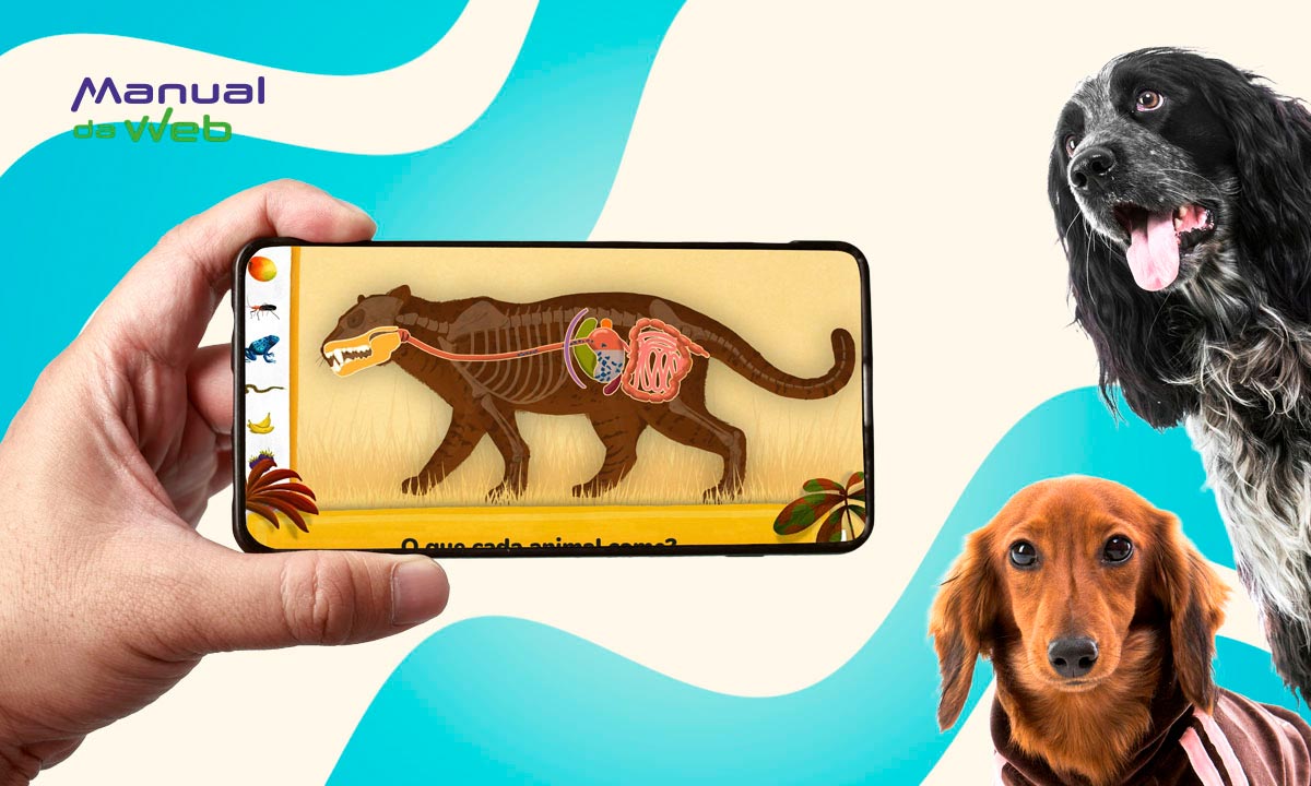 Como os animais funcionam