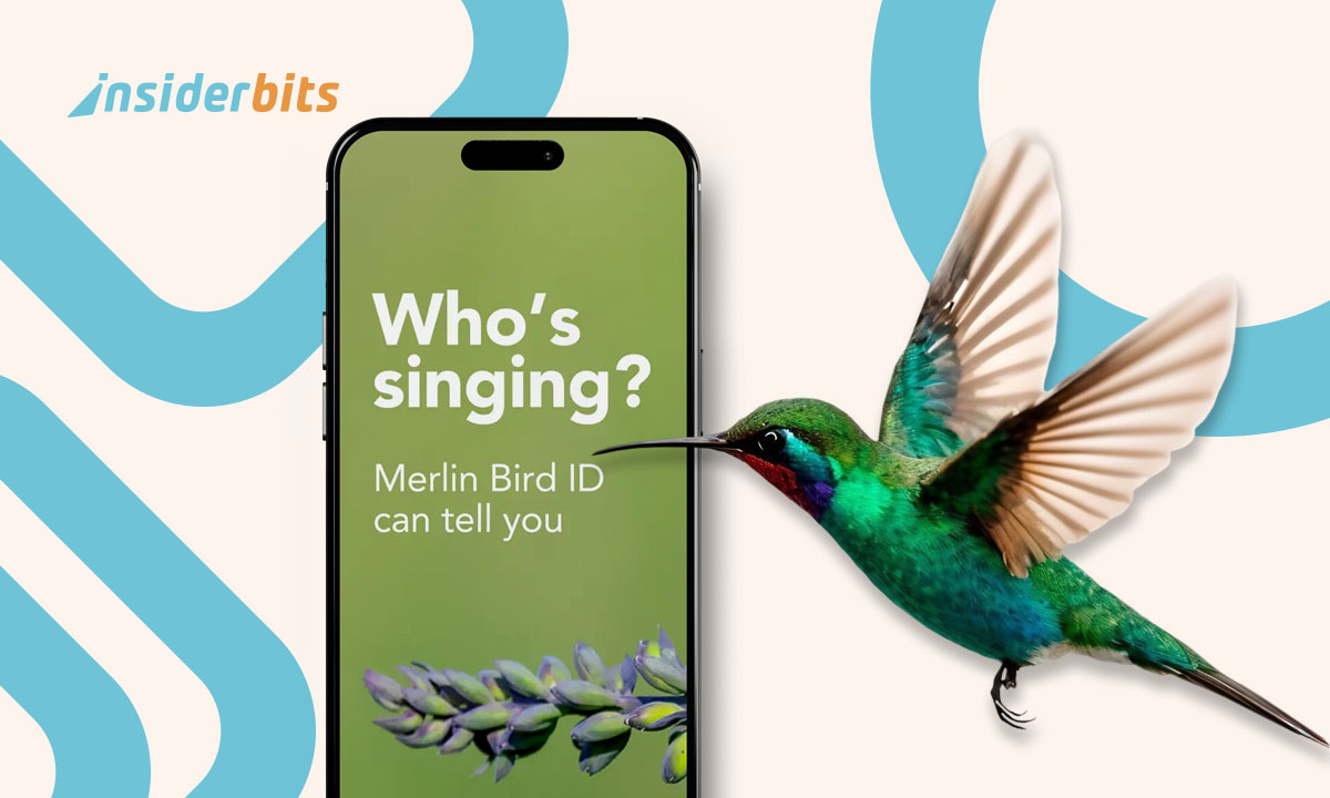 Bird Identification Apps
