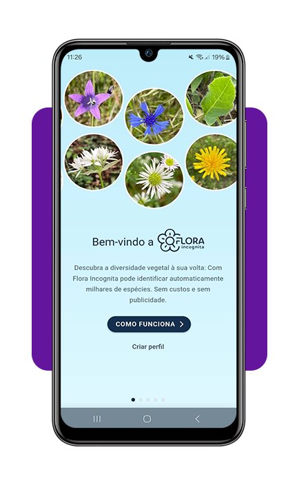 Identifique plantas com a câmera