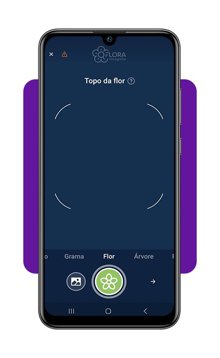 Identifique plantas com a câmera