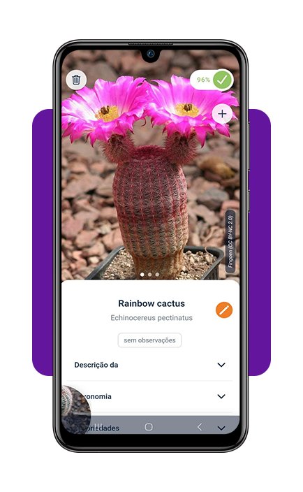 Identifique plantas com a câmera