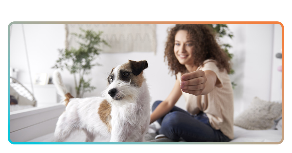 Pet Sitter