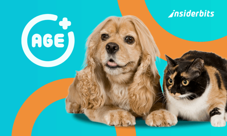 Pet Age Calculator