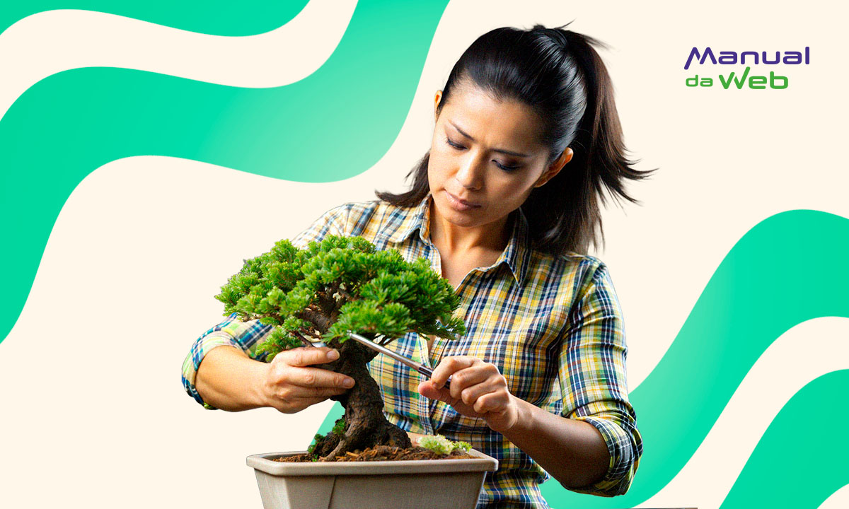 Cuidar de plantas em casa