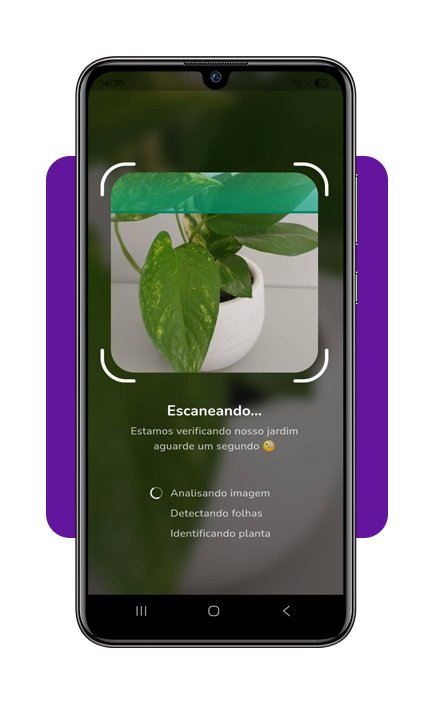 Cuidar de plantas em casa