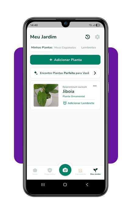 Cuidar de plantas em casa