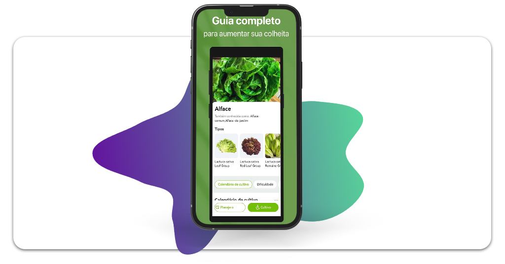 O que plantar na horta de casa