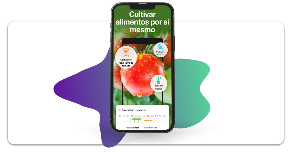 O que plantar na horta de casa