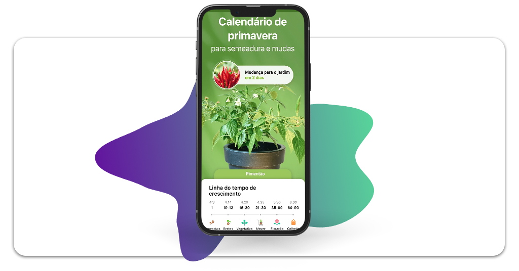 O que plantar na horta de casa