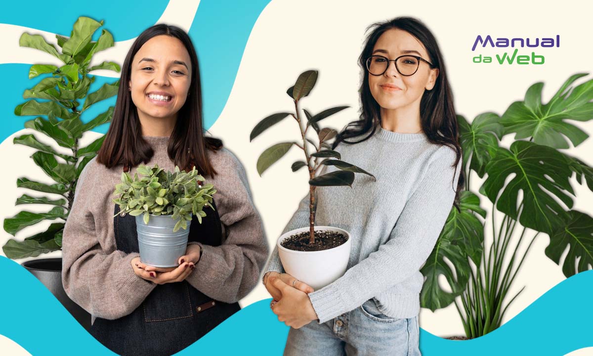 Reconhecer plantas