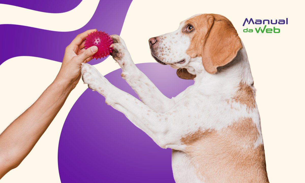 Hotel para pets