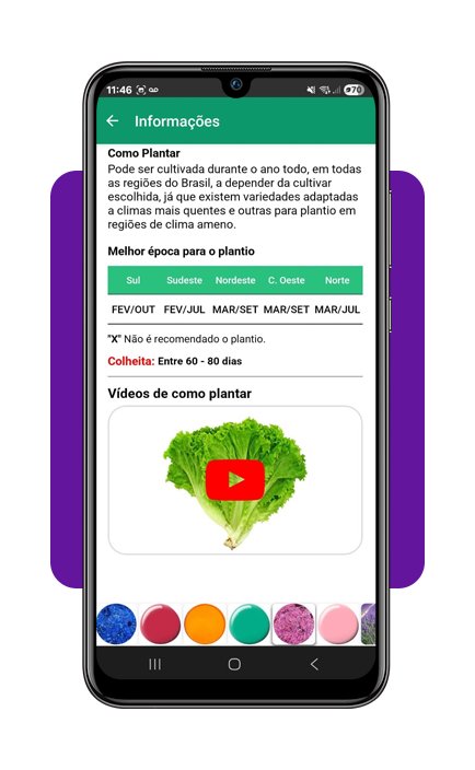 Horta em casa